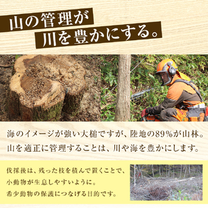 【ナクレ】【6回定期便　2ヶ月毎お届け】ティッシュペーパー50箱 (5箱×10袋)  