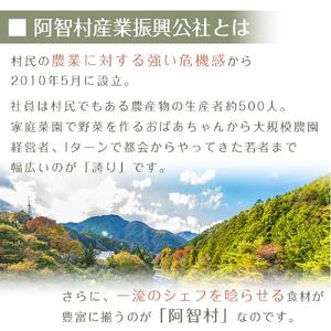 【先行予約】浪合スイートコーン | 野菜 とうもろこし トウモロコシ コーン 信州 長野