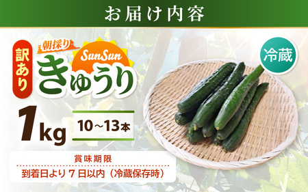 【先行予約】【訳あり】期間限定 太陽の光サンサンと浴びた「SunSun きゅうり」 1kg以上【2026年7月上旬以降順次発送】【胡瓜 野菜 漬物】】 [e35-a055]