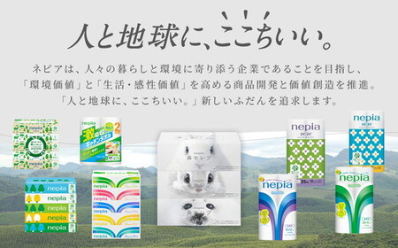 ネピアネピネピトイレットロール12ロールシングル×6パック
