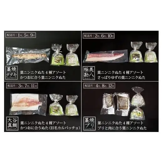 【刺身 定期便】葉にんにくぬたに合うお刺身定期便4ヶ月