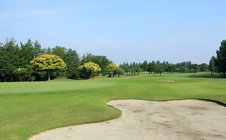 鴻巣カントリークラブ ゴルフプレー利用券D（プレー補助利用券） No.218