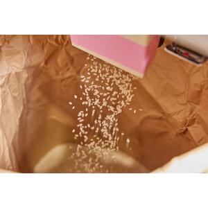 【令和7年産】山梨ふるさと米（無洗米）６kgセット