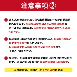 しなやかハンガー12P　【0007-027】岐阜県 可児市 ステンレス アイデア 便利 簡単 耐久性 新生活 洗濯 家事 純日本製 国産 シンプル  生活雑貨 丈夫 長持ち 強風対策 洗濯グッズ 超軽量 職人