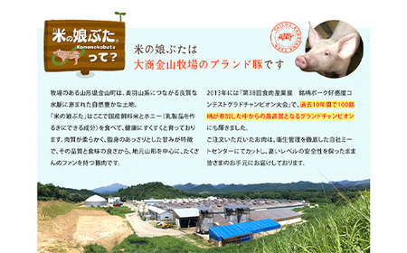 米の娘ぶたを使用した「米の娘餃子」 (30g×40個) 餃子 ギョウザ 生餃子 焼き餃子 水餃子 豚肉 ブランド豚 ニラ 冷凍 金山町 F4B-0451