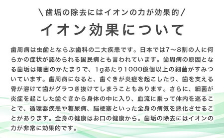歯ブラシ 美白用ラバーソフト毛 替えブラシセット 24本 | 歯ブラシ