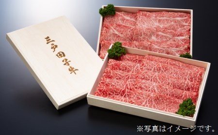 【大容量】国産和牛 豪華セット 3kg 黒毛和牛 「三戸・田子牛」