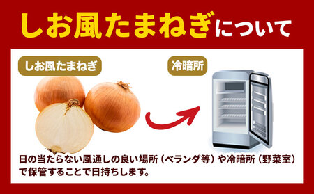 しお風玉ねぎ 約15kg　たまねぎ 玉ねぎ
