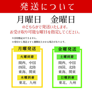 訳あり 岩がき 大サイズ 4kg前後 生食用 ： 牡蠣 殻付き牡蠣