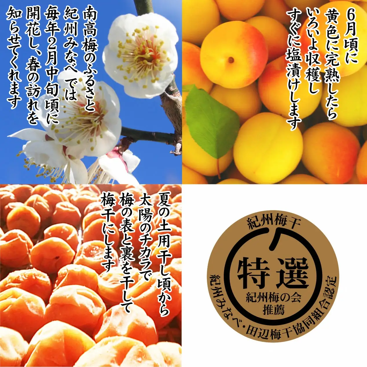 紀州産南高梅 なちゅら しそ漬 300g 塩分9％ tnht003A【tnht003A】