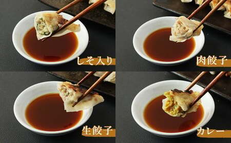 熊本県産 火の君ポークR 詰め合わせ＋火の君ポークR 使用 餃子セット