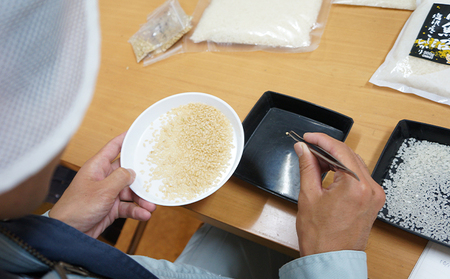 扶桑町の五ツ星マイスター監修のお米　米夢米武(マイムマイム)10kg（5kg×2） 