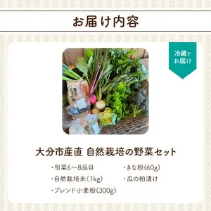  むかし野菜の邑　大分市産直　自然栽培の野菜セット F01005
