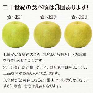 FKP9-687 【先行予約】二十世紀梨（廿世紀梨）約2.5kg