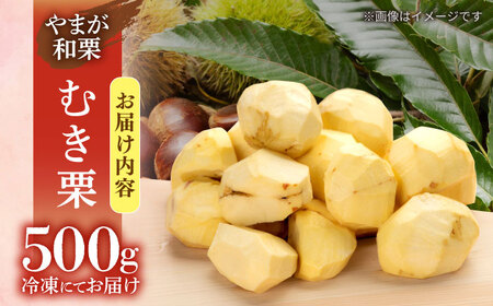 先行予約 むき栗 約500ｇ（約250g×2pc） 【すみれファーム】[ZEP059]