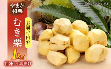 先行予約 むき栗 約1kg（約250g×4pc） 【すみれファーム】[ZEP060]