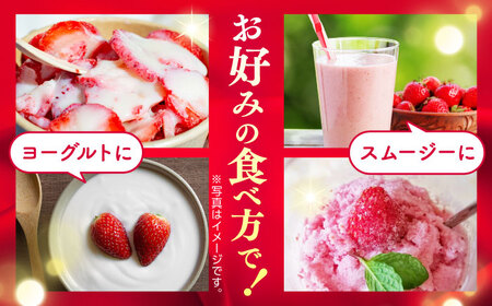 冷凍 いちご ゆうべに 約4kg【熊本ベリー】[ZER015]