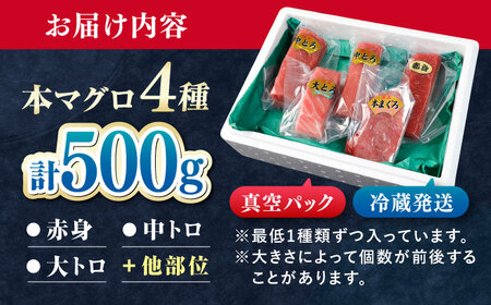 対馬産 生 本マグロ 500g （赤身、中トロ、大トロ）まぐろ トロ 刺身 [WAH025] マグロ まぐろ 本マグロ