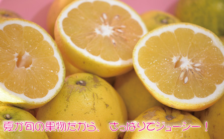 河内晩柑5kg【家庭用】