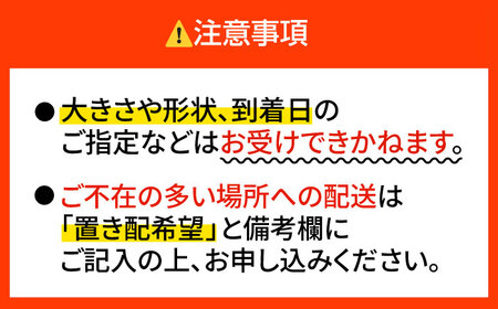 ソロキャンにピッタリ！ソロ焚火台専用薪「広葉樹」×2締め / 佐賀県 / 旬菜舎さと山 [41AABM015]