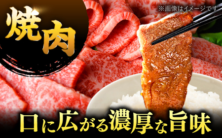 【 訳あり 】 博多和牛 焼肉 切り落とし 1kg （500g×2p） 桂川町/株式会社 MEAT PLUS [ADAQ086] 和牛 特選和牛 切り落とし 訳アリ 切り落とし牛肉 支援品 支援