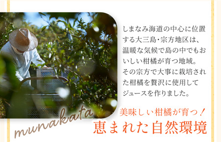 宗方印のみかんジュース 花みかん 720ml×3本セット [V001800]