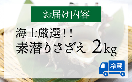 【先行予約】素潜りさざえ 2kg ※2026年7月上旬順次発送｜  北陸 厳選 さざえ [B-018006]