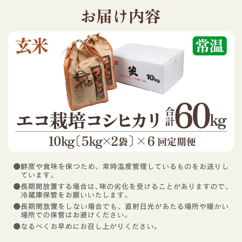 【先行予約】【令和8年産 新米】《定期便6回》エコ栽培コシヒカリ 玄米10kg（5kg×2袋）計60kg ／ 鮮度抜群 福井県産 こしひかり ご飯 新鮮 玄米 ※2026年10月上旬以降順次発送 [aw063-k004]