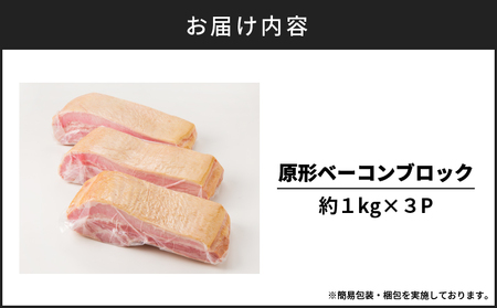 原形ベーコンブロック 約3kg K161-019_03 肉 豚肉 惣菜 総菜