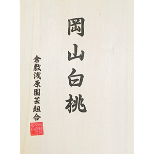 桃 2026年 先行予約 白桃 5玉 (1.5kg以上) 等級：ロイヤル 木箱入り もも モモ 岡山県産 国産 フルーツ 果物 セット ギフト 