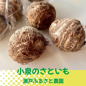 【栽培期間中無農薬】野菜のプロが選ぶ. 旬の野菜・卵・天然塩  全５～７品詰め合わせセット（レシピ付き） 野菜 塩 卵 たまご 有機農家  野菜セット オーガニック レシピ 広島県 三原市 佐木島 083001