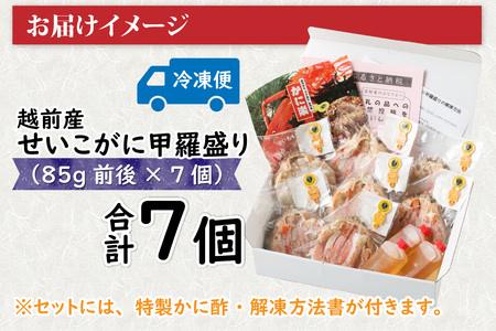 Ｃ　越前産せいこがに甲羅盛（85g前後 × 7個）合計7個 [J-096013_03] / せいこがに