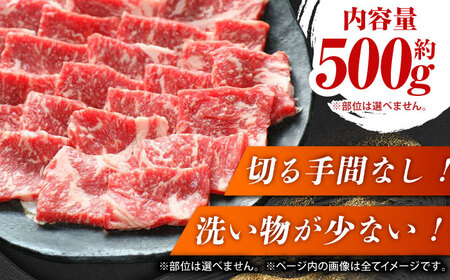 GI認証 くまもとあか牛 焼肉用 約500ｇ【山鹿市（桜屋）】[ZBO055]