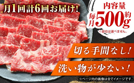 【6回定期便】GI認証 くまもとあか牛 焼肉用 約500ｇ【山鹿市（桜屋）】[ZBO063]