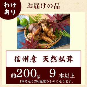 【訳あり】数量限定/信州産「天然松茸」（約200g前後）