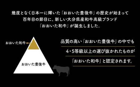おおいた和牛サーロイン生ハム 50g 国産黒毛和牛A4・A5等級 | 豊後高田市 生ハム