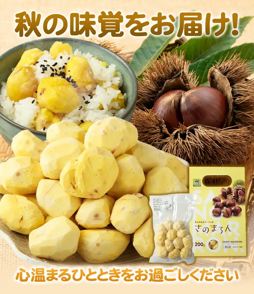 菊池水源産 さのまろん 冷凍剥き栗 内容量 約800g 農事組合法人菊池佐野《30日以内に出荷予定(土日祝除く)》熊本県 菊池市 栗 むき栗 筑波 冷凍 熊本県産 九州産 国産 送料無料