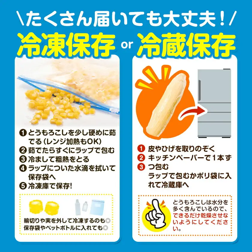 とうもろこし約8kg老沼利治《6月中旬-7月中旬頃出荷》ゴールドラッシュ