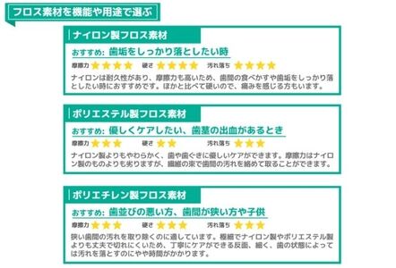 国産 フロスハンドル FLOSSTI２ 美容 雑貨 日用品 