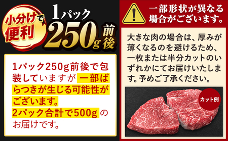 くまもと黒毛和牛 リブロースステーキ 500g ( 250g x 2枚 ) 牛肉 冷凍 《30日以内に出荷予定(土日祝除く)》 くまもと黒毛和牛 黒毛和牛 冷凍庫 個別 取分け 小分け 個包装 ステーキ肉 にも リブロースステーキ