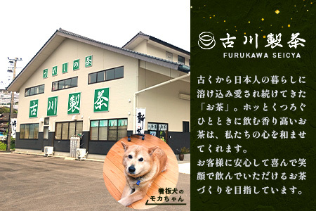 うれしの茶　特上玉緑茶　2本入　詰め合わせ　B-751