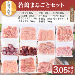 鹿児島県産 若鶏 まるごと セット(計3.05kg)【TRINITY】A467-v02