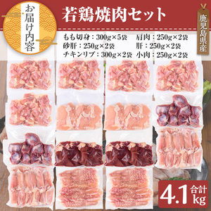 鹿児島県産 若鶏 焼肉 セット(計4.1kg)【TRINITY】A470-v02