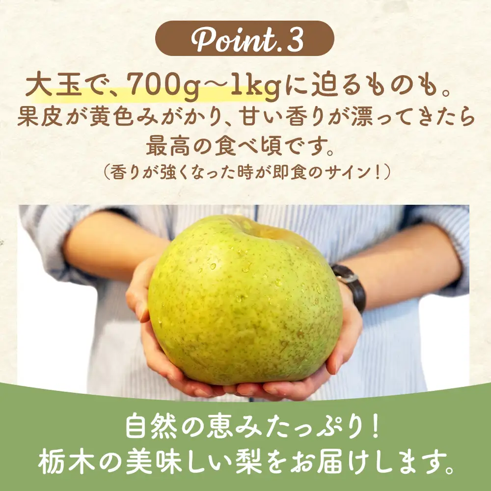 【先行予約】梨(かおり) 4玉～7玉入り×1箱 (4.5kg以上) ※2026年9月上旬～9月下旬頃に順次発送予定