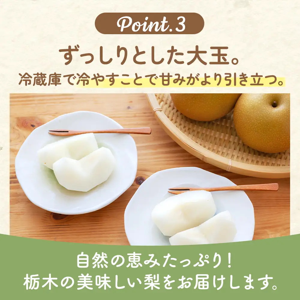 【先行予約】梨(にっこり) 4玉～7玉入り×1箱 (4.5kg以上) ※2026年10月上旬～11月下旬頃に順次発送予定