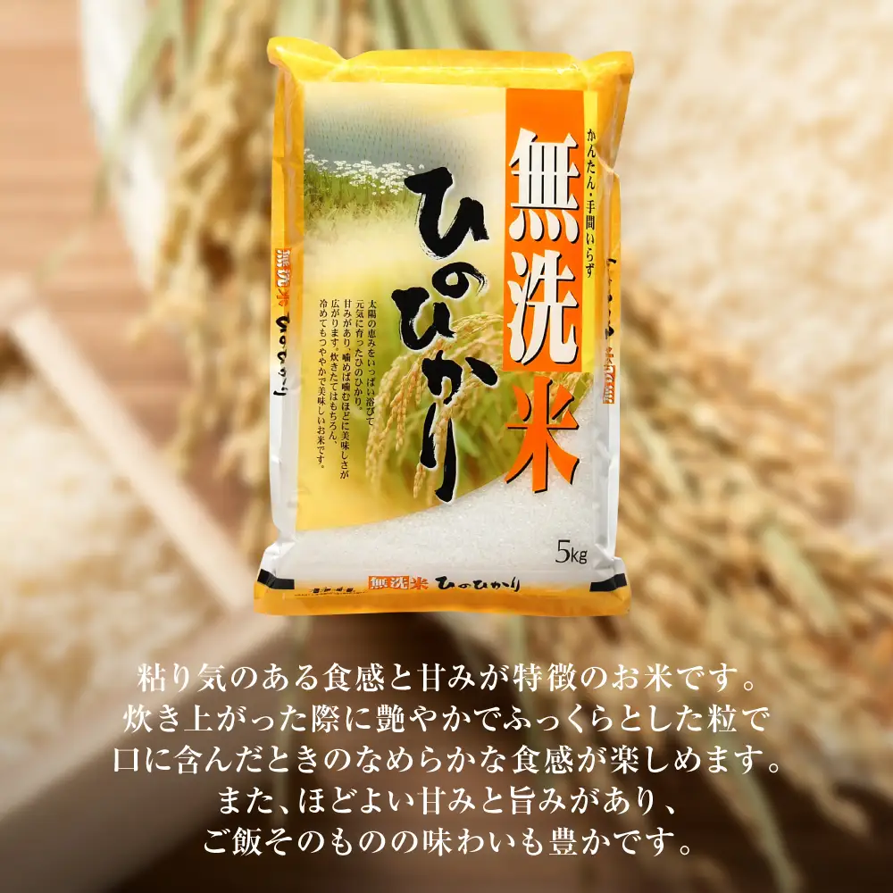 【令和7年産】 熊本県産 無洗米 熊本ひのひかり 10kg (5kg×2袋) 米 お米 精米 白米 ごはん ご飯 熊本