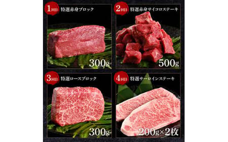 ＜8ヶ月定期便＞ 土佐和牛詰め合わせ8種Aセット（合計3.3kg）