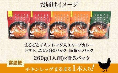 まるごと チキンレッグスープカレー 3種セット 計5パック 