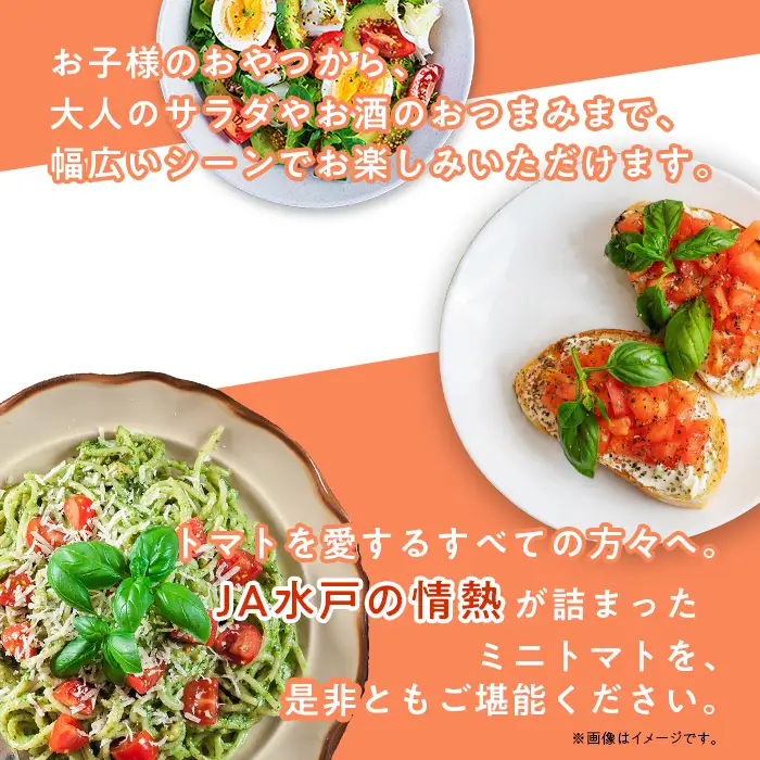 454 ミニトマト 1.5kg 甘い JA 水戸 茨城 2026年8月頃から順次発送予定