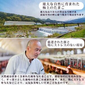 カットシフォン10個入 こだわりのシフォンケーキ 際立つたまごの美味しさ！ふわふわ 食感 糸魚川 新潟 フェルエッグ しっとり ふわふわ シフォンケーキ カットシフォン スイーツ